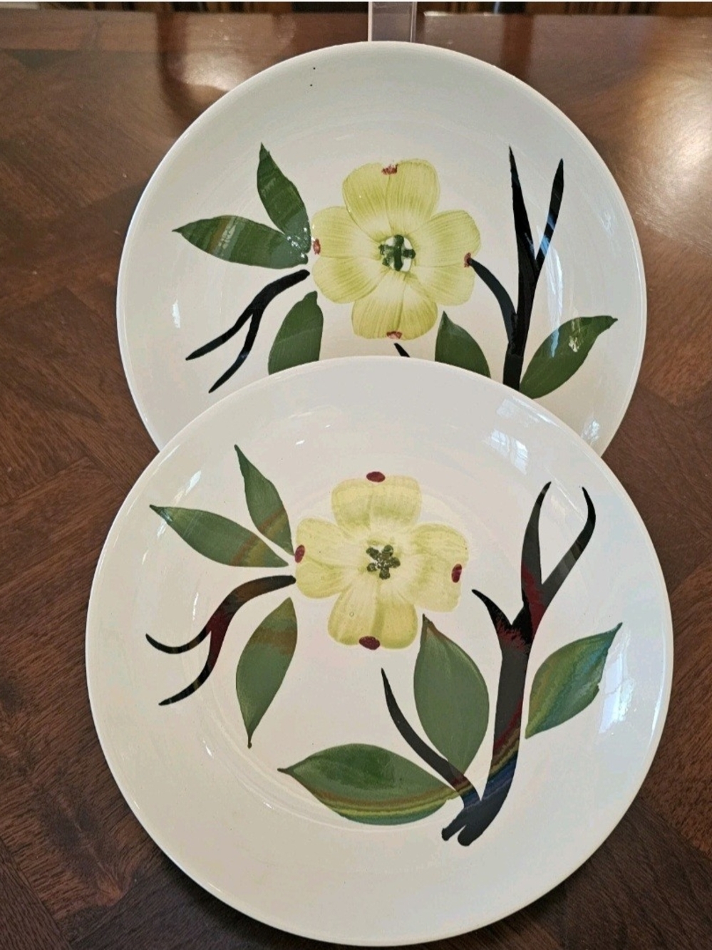 Set of 2 Vintage Blue Ridge Southern Pottery Dixie Dogwood Coupe Soup Bowls MCM